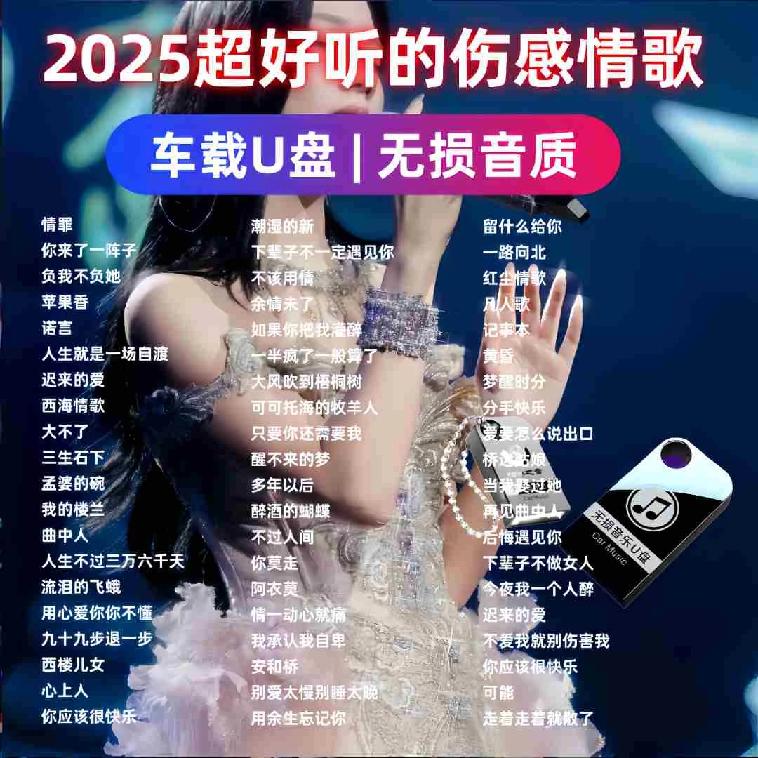 2025网络伤感DJ催泪情歌音乐U盘抖音流行DJ痛心歌曲无损音质MP3/4