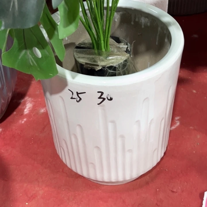 新款音符中号正常品