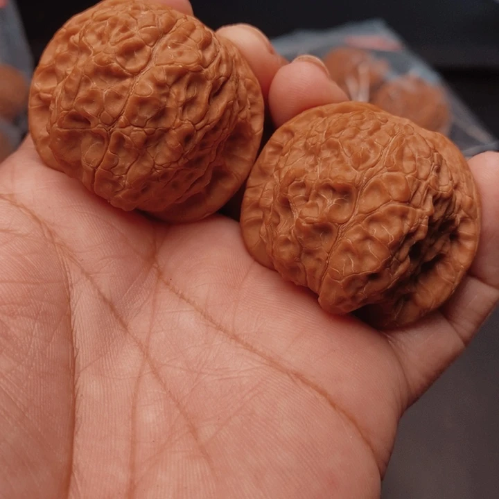 核桃血麒麟41尺核桃