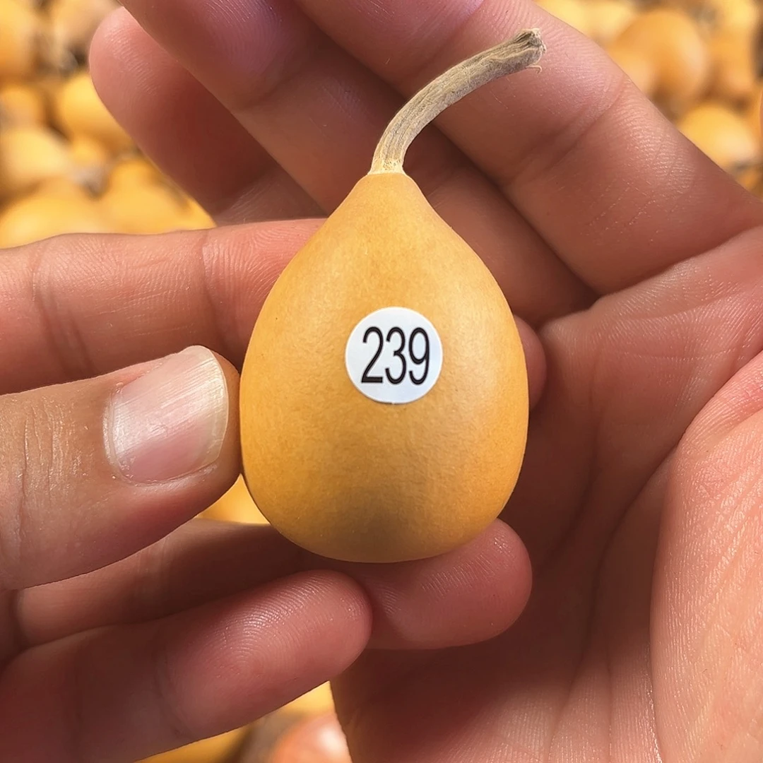 二葫芦葫芦葫芦葫芦239