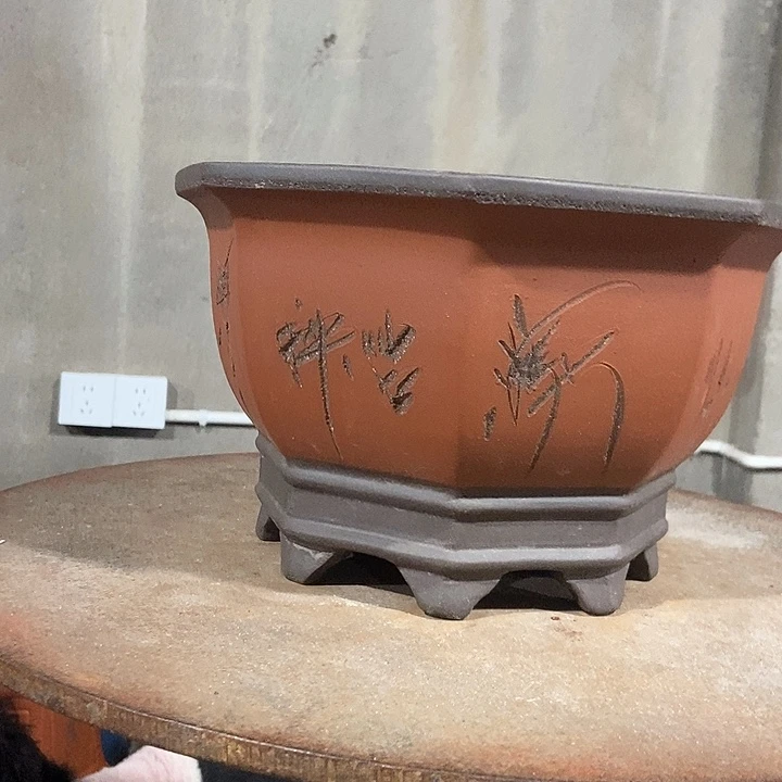 紫砂花盆27 花盆花盆花盆花盆花盆花盆