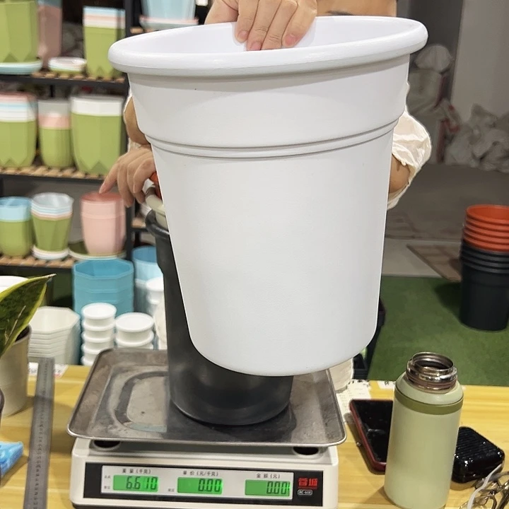 翻边口22高24白色4只无托
