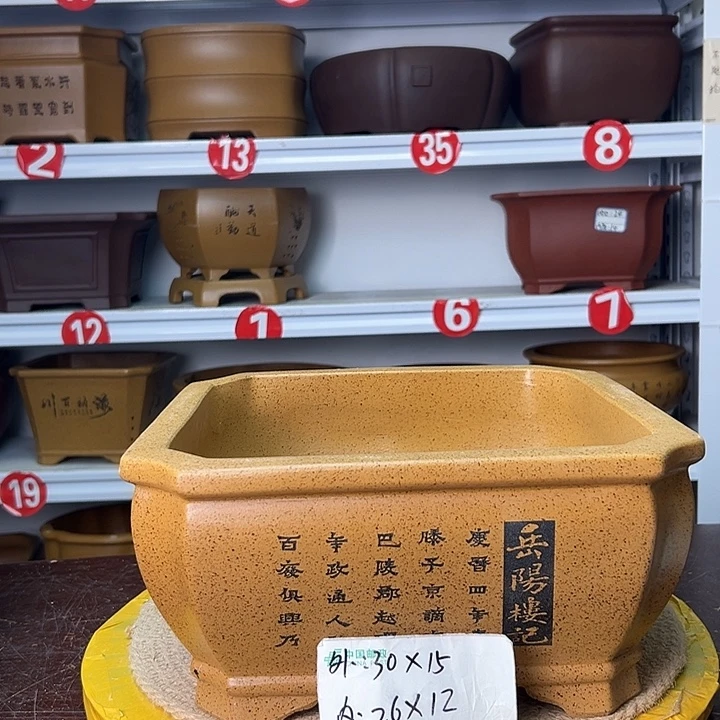 花盆紫砂蛇年大吉