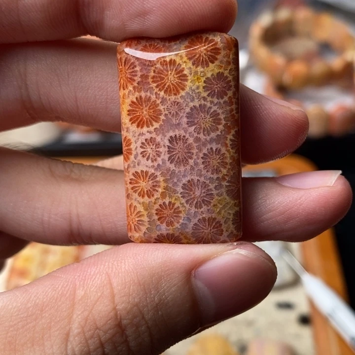 简***活颈饰未镶嵌硅化珊瑚（珊瑚玉）