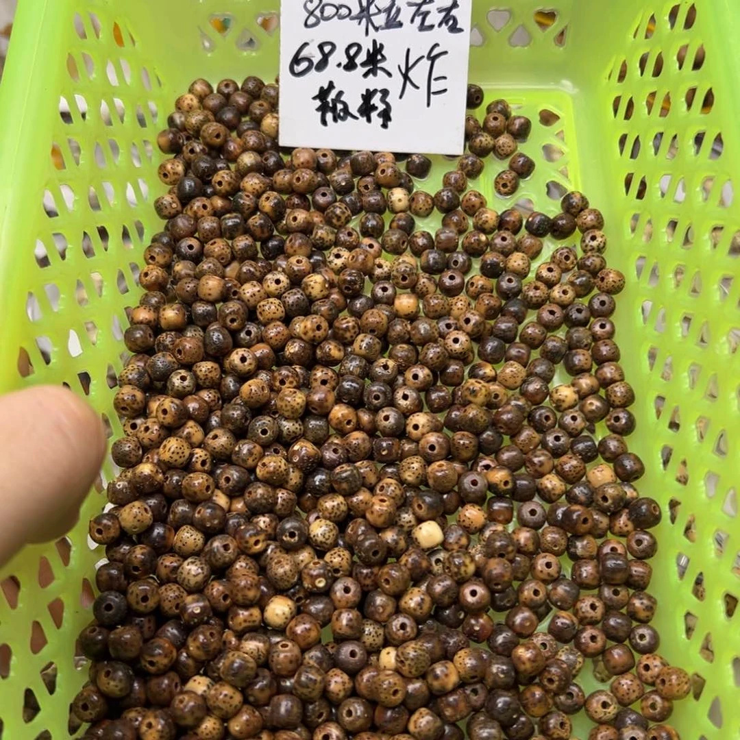星月菩提吊坠原生态5×6 散籽  A1   800颗左右