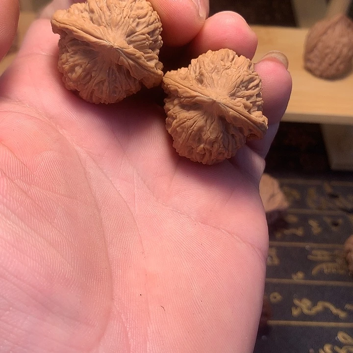 W***i大叶紫檀（黑酸枝木类）