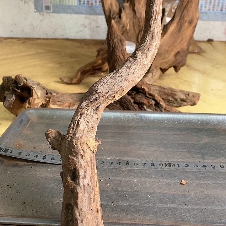 花梨木类跬***里海南花梨