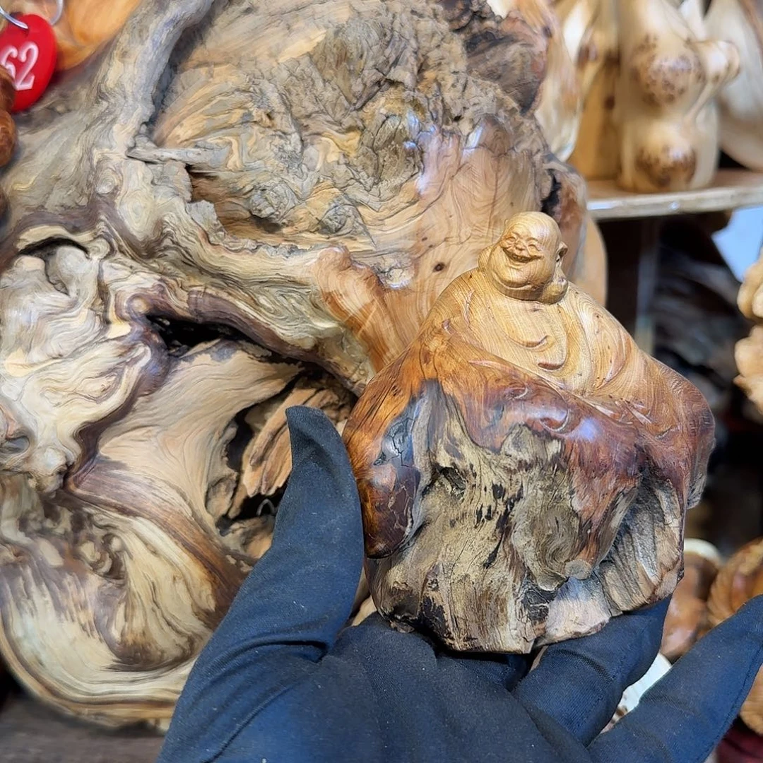 柏木（崖柏）66666666