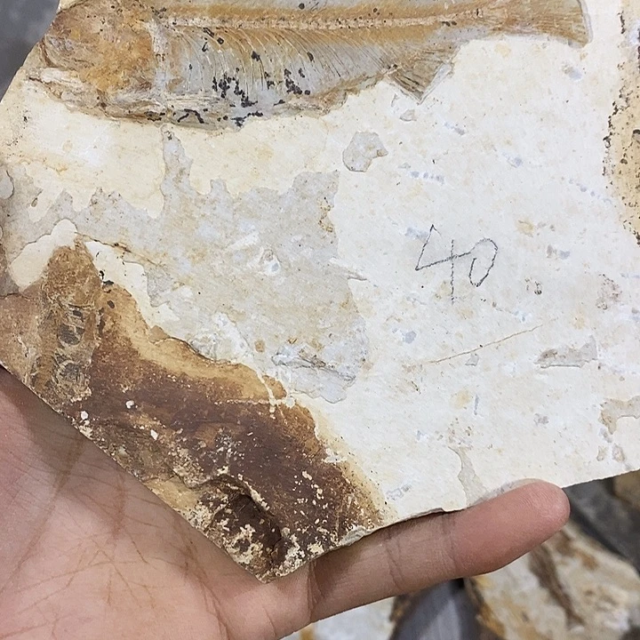 璞***4有机玻璃工艺品收藏品摆件