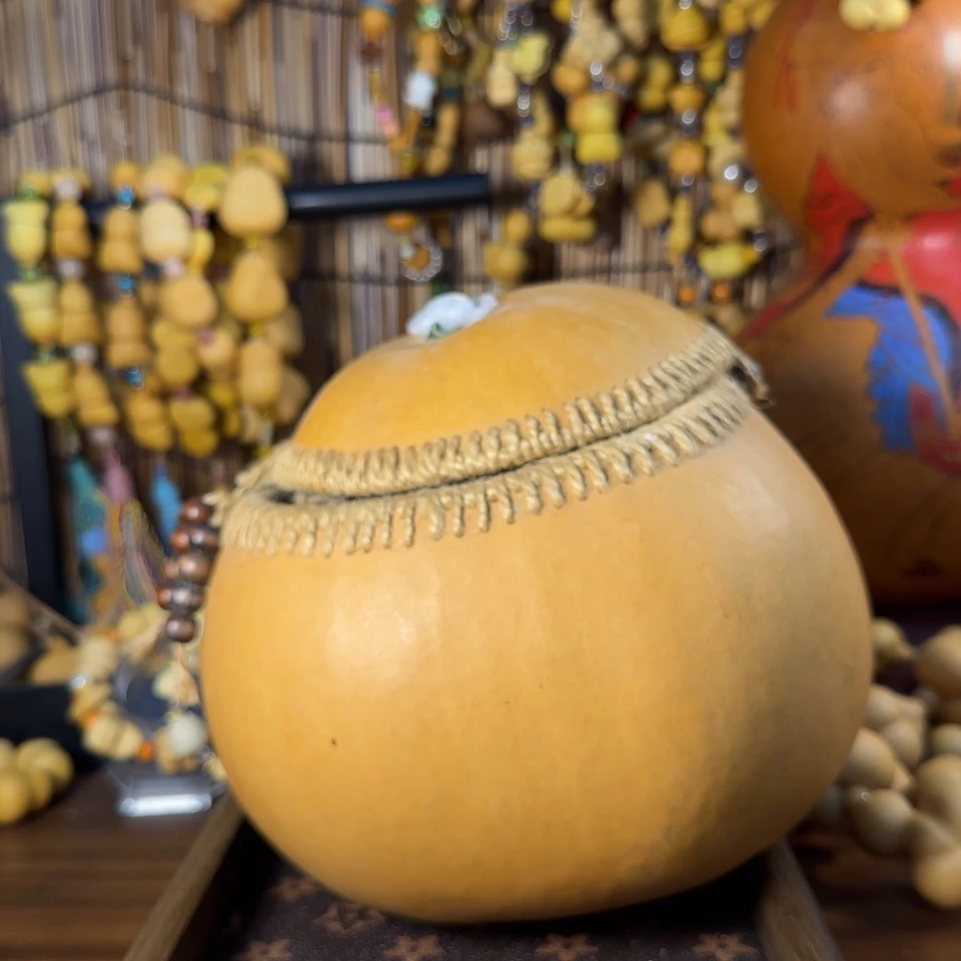 马***5金蟾金蟾金蟾金蟾