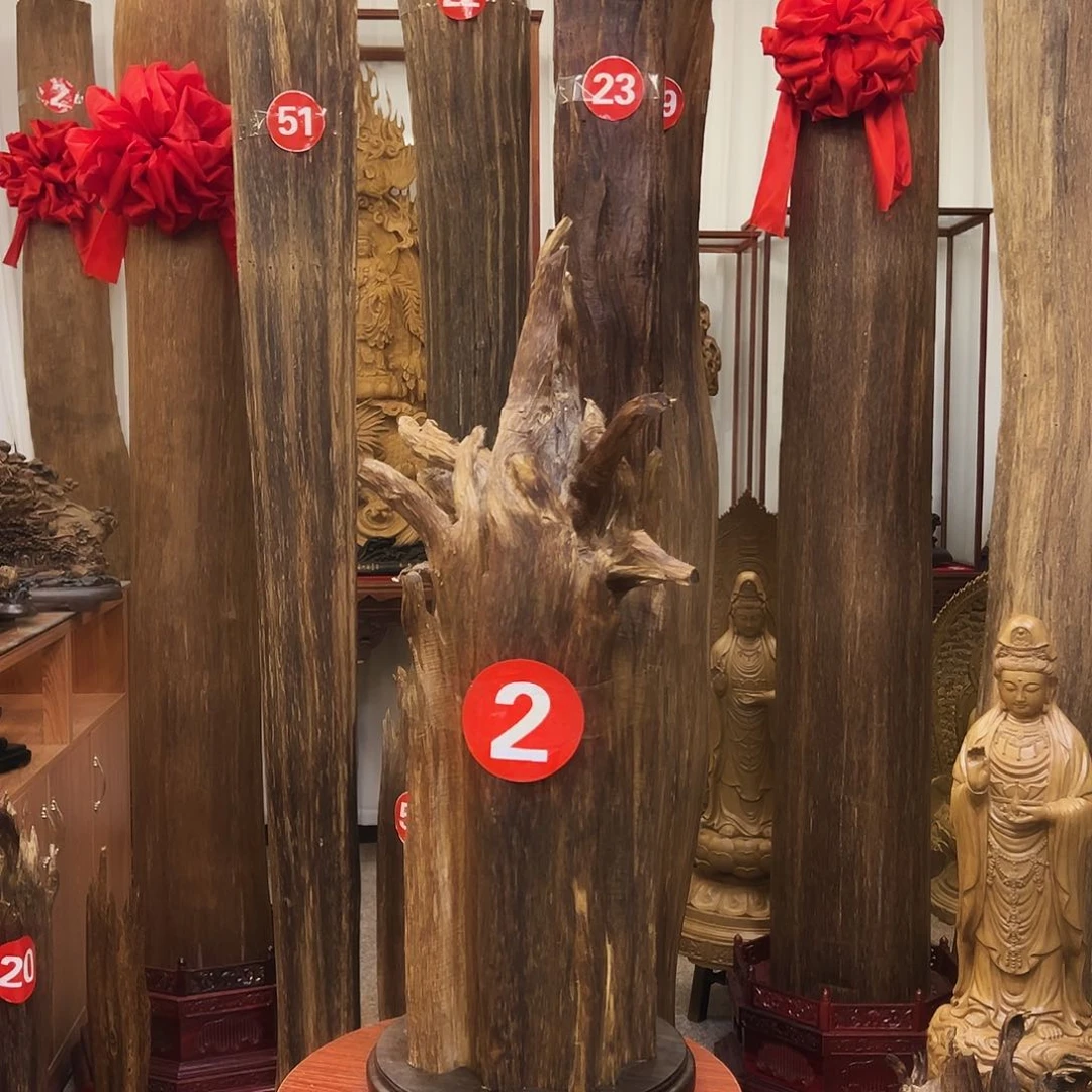 沉香碎屑沉香的沉香材料