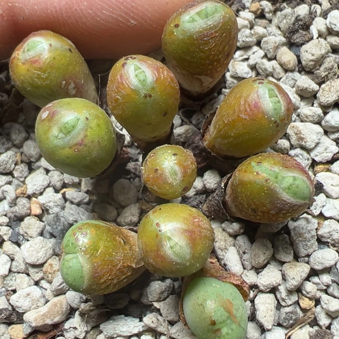 【闪购商品】 347。