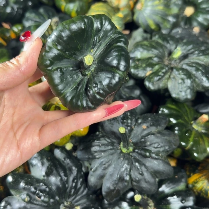 永***远饿哦饿哦饿哦饿哦饿哦