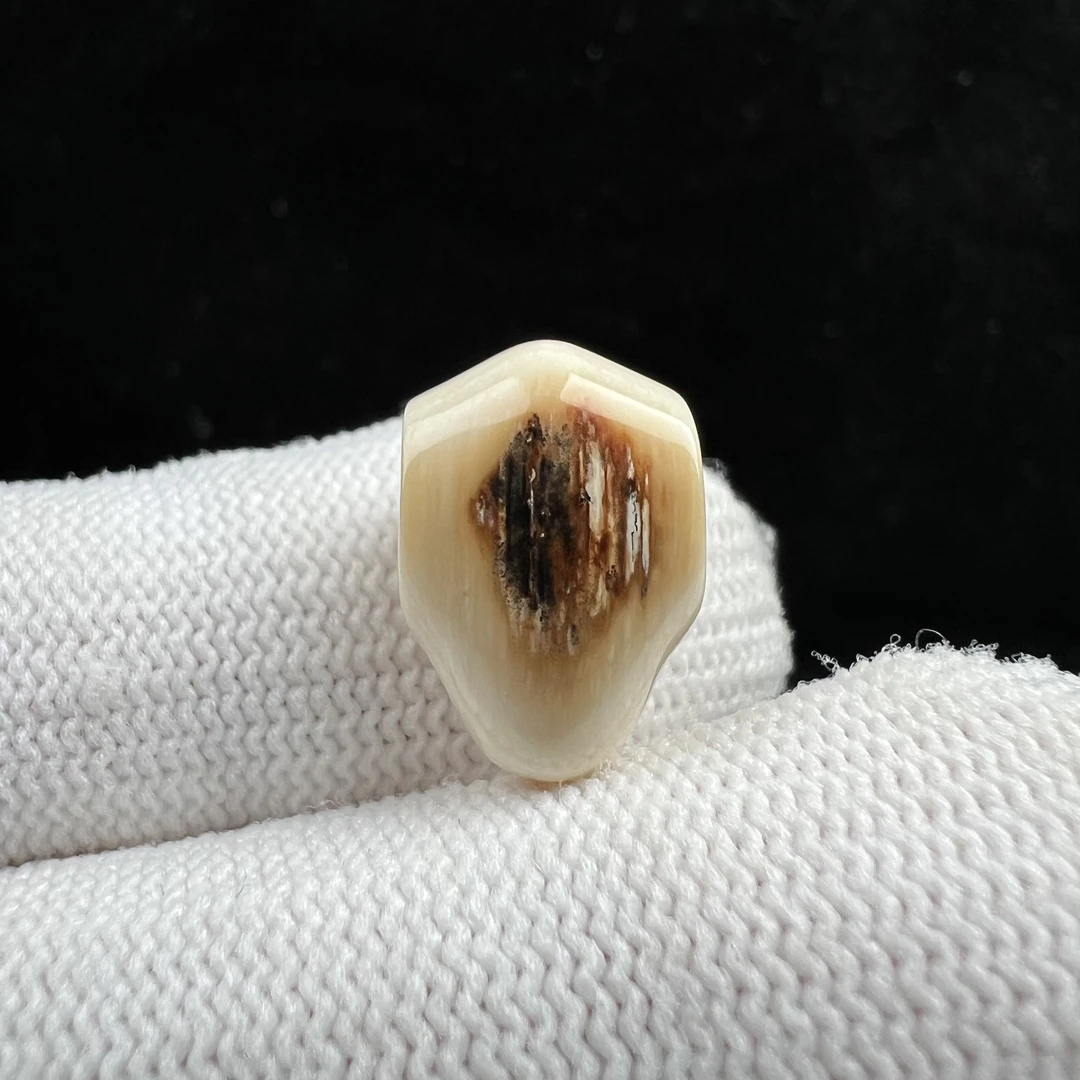 D3193天然猛犸牙 特色鲨鱼背三通10*15mm支持鉴定 假一罚四