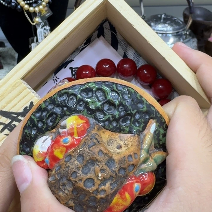 茶宠哈哈哈哈哈哈哈哈