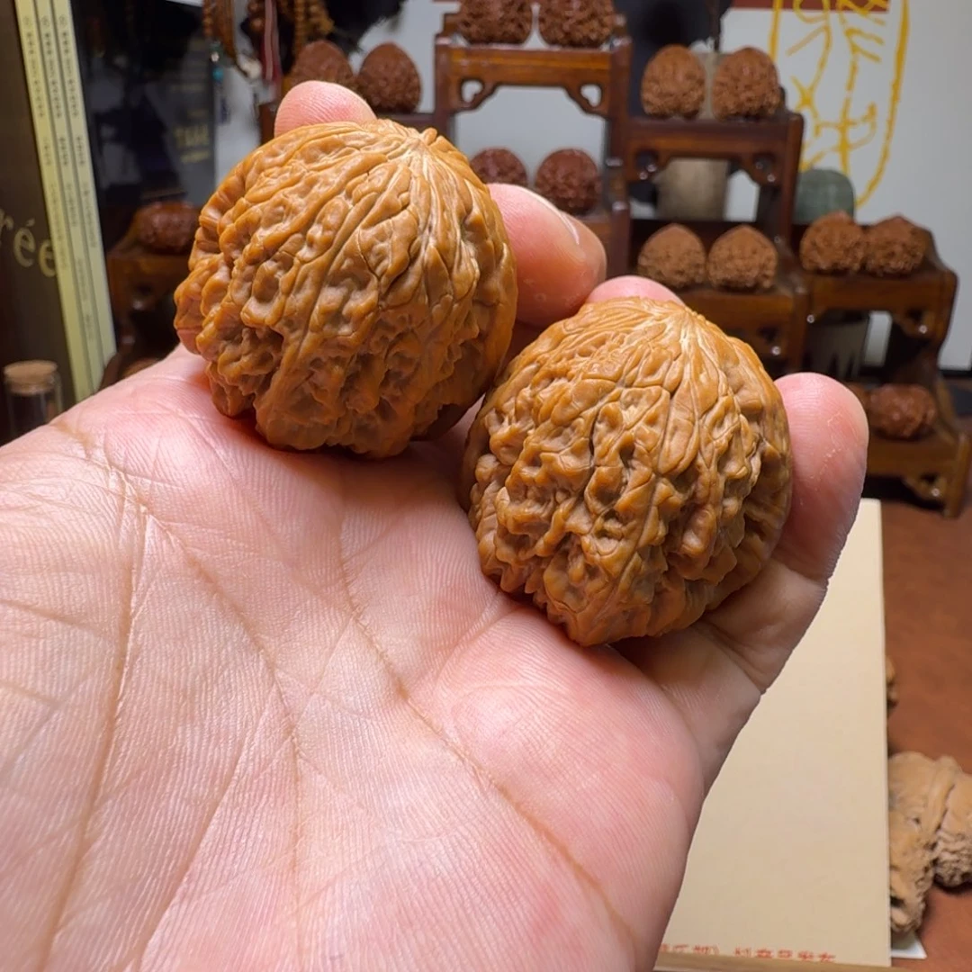 道哥俱乐部f暴雪38