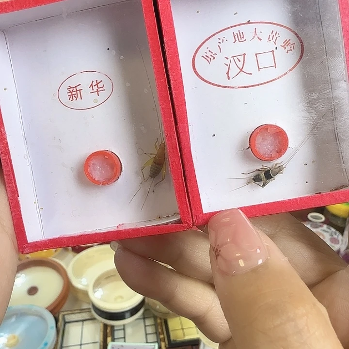 *****烈焰➕水墨6666666