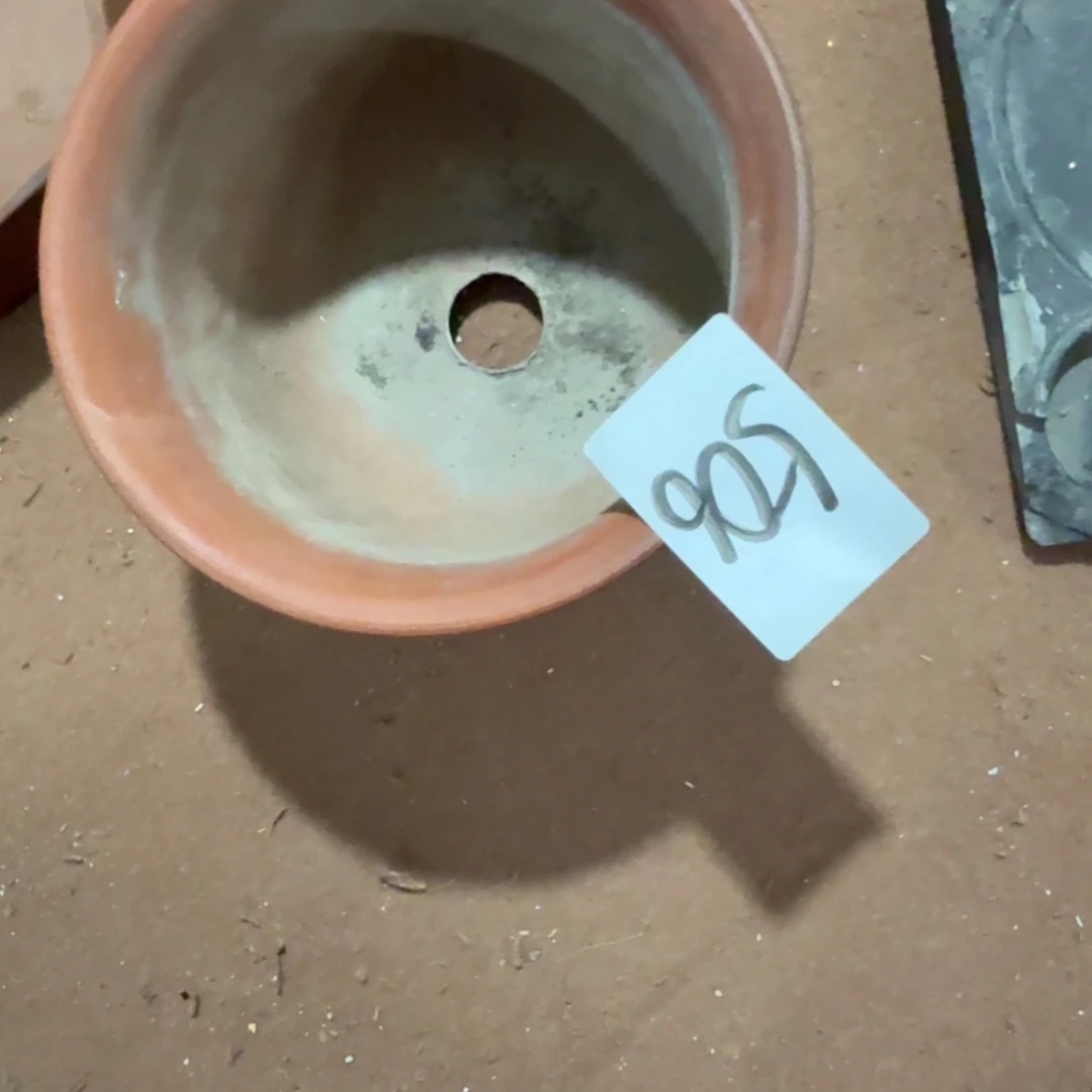 用***8杂色豆（科檀/科特迪瓦檀木）