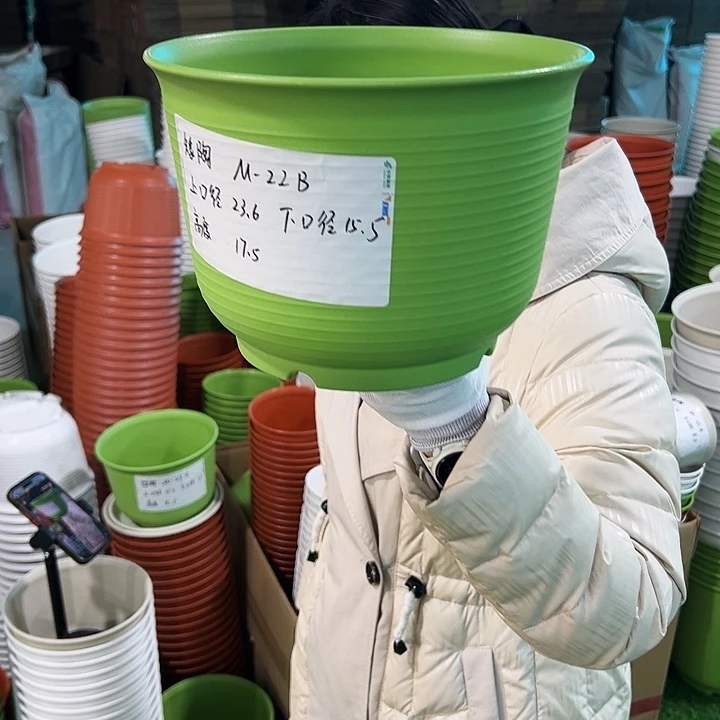 正品矮陶口23.6高17.5果绿无托6只