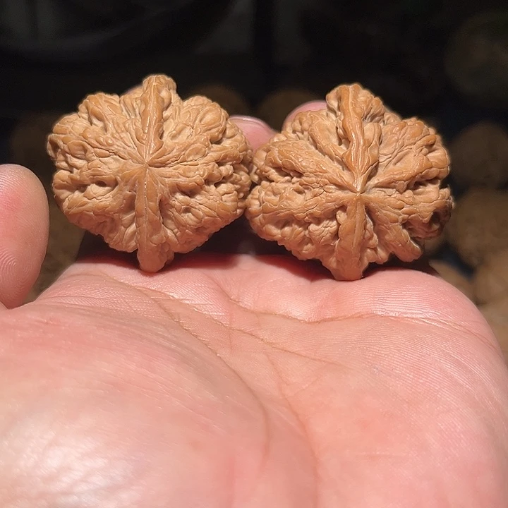 木43.5全品精品大粗筋