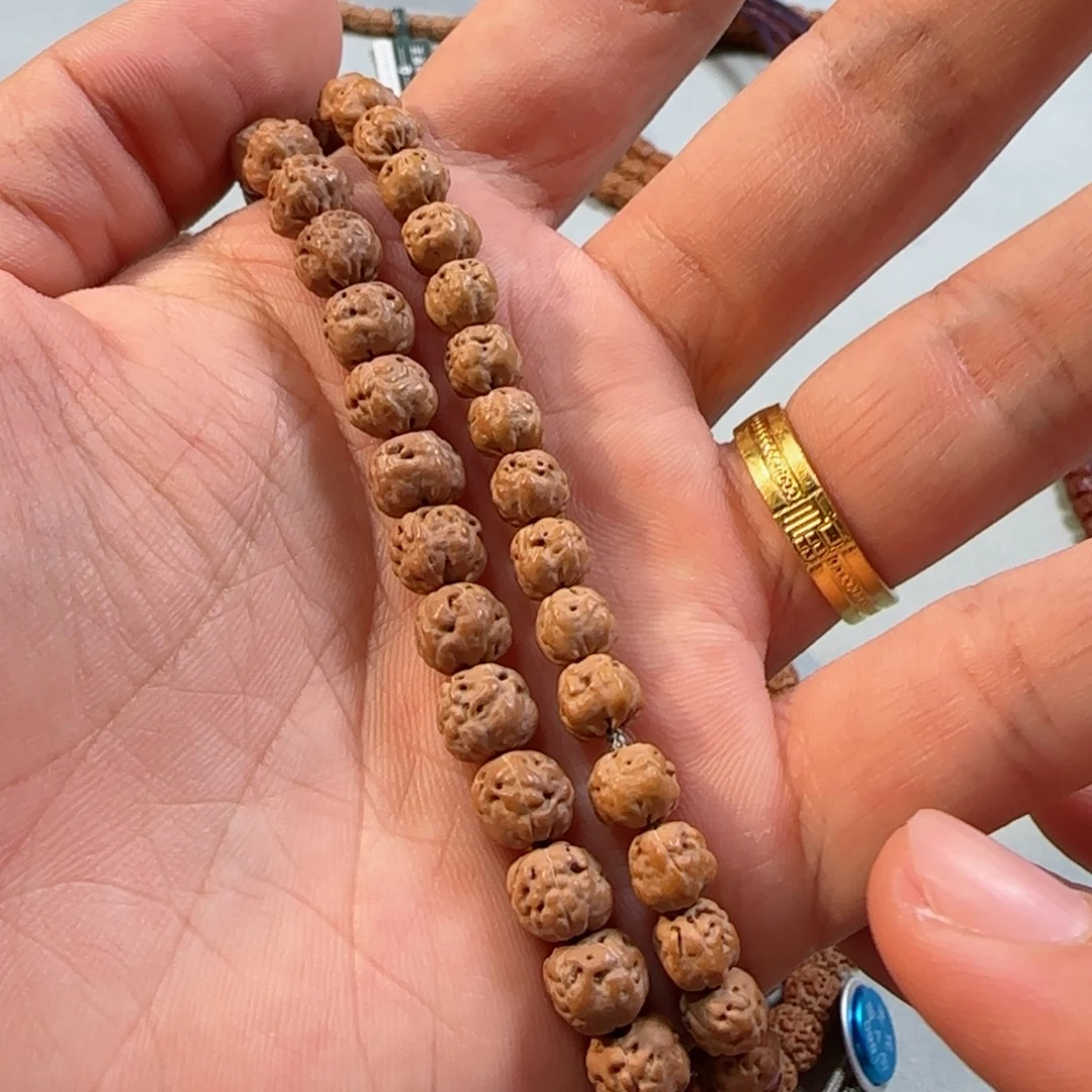 手串金刚菩提老树南瓜佛手