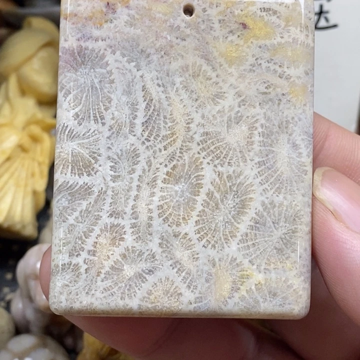 硅化珊瑚（珊瑚玉）未镶嵌颈饰