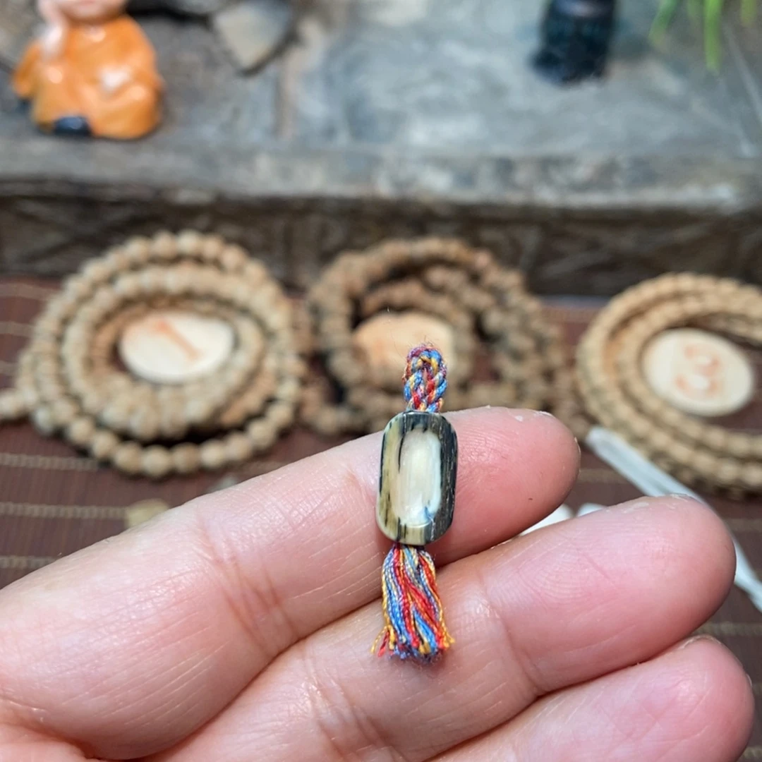 贝***壳吊坠柏香籽/百香籽