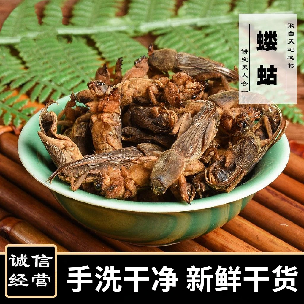 蝼蛄中药材新货土狗干地狗蝲蝲蛄干货1另有蟋蟀五谷虫当季新货