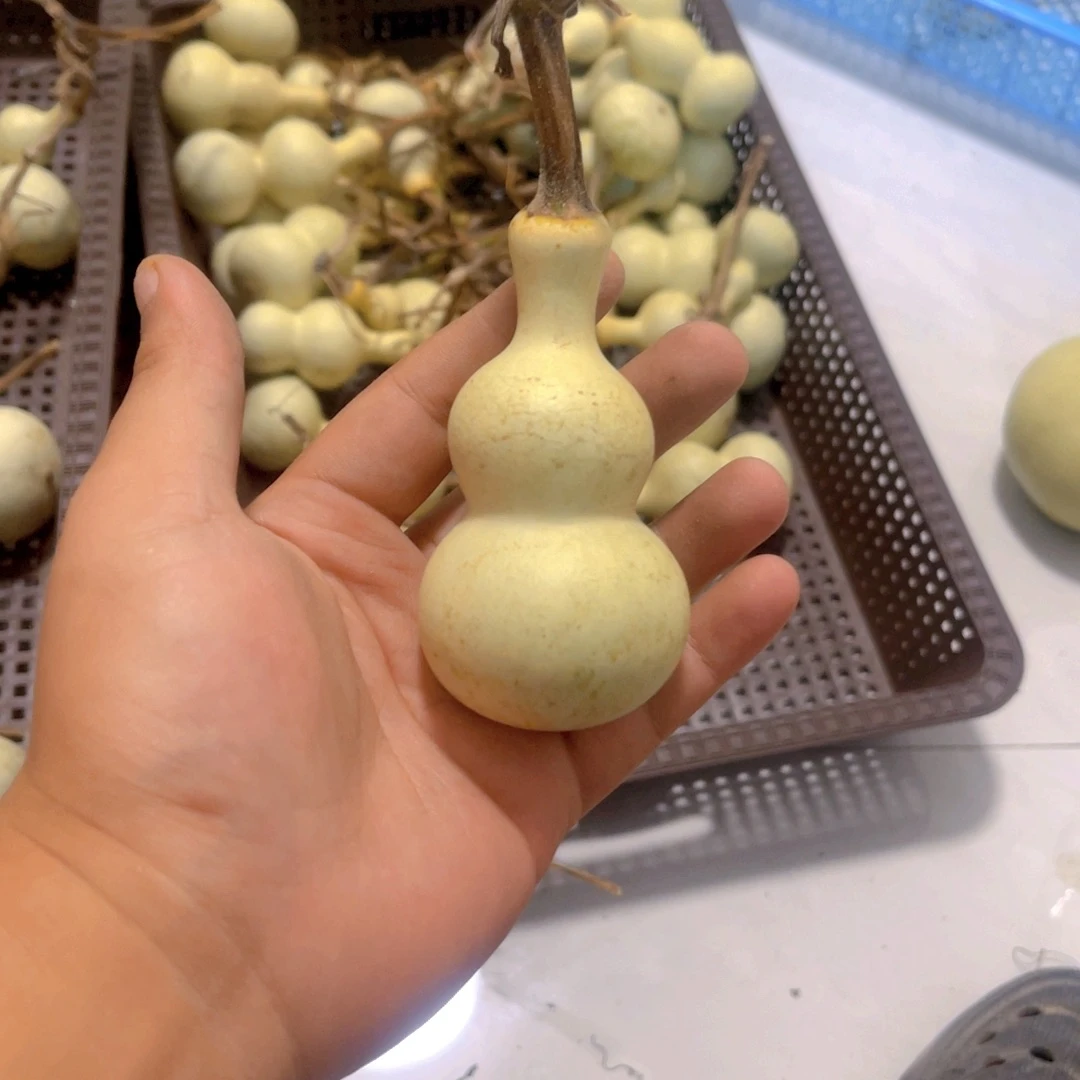 骑***步感谢大哥支持兄弟兄弟不保