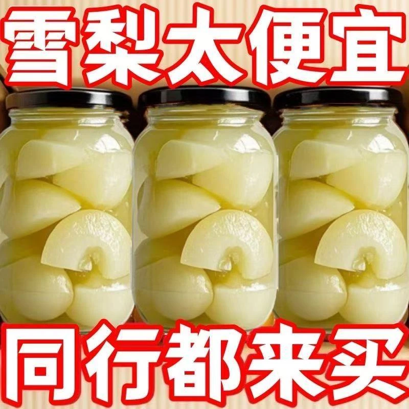 梨杏罐头大份量510克*4罐新鲜果味罐头多汁果肉饱满老年零食整箱Z