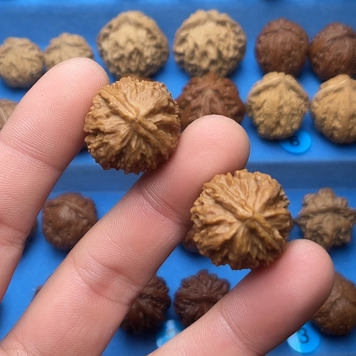 文玩核桃把件龙脊背小号