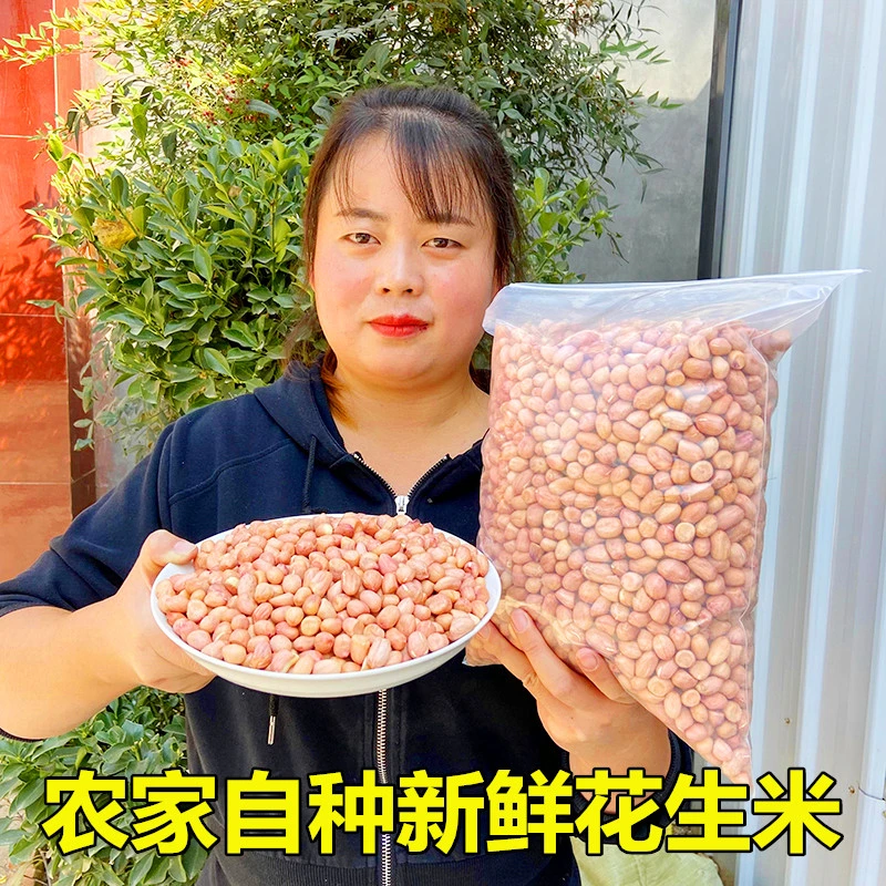 豫乡景辉农家自种新鲜花生米去壳大粒优质生花生米油炸下酒菜5斤