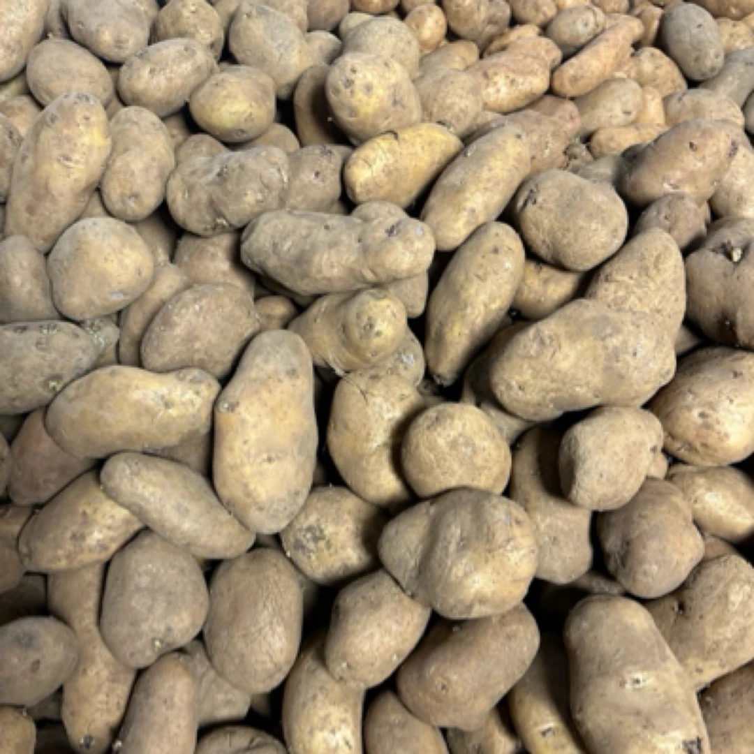 阿雨买贵州威宁黄皮黄心洋芋包粉包沙农家高山当季种植原产地发货