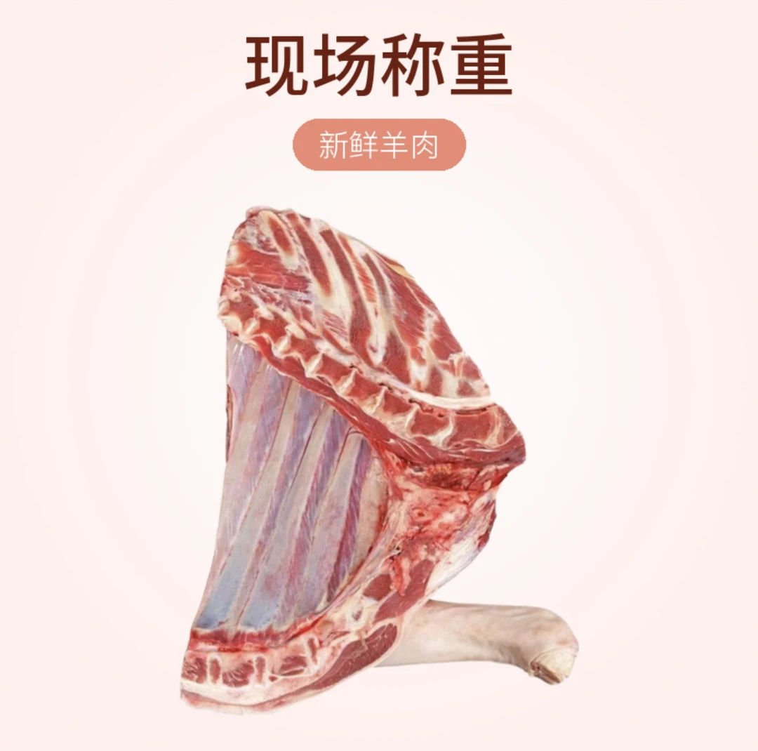 散养绒山羊【前腿排】生鲜肉现场称重顺丰包邮