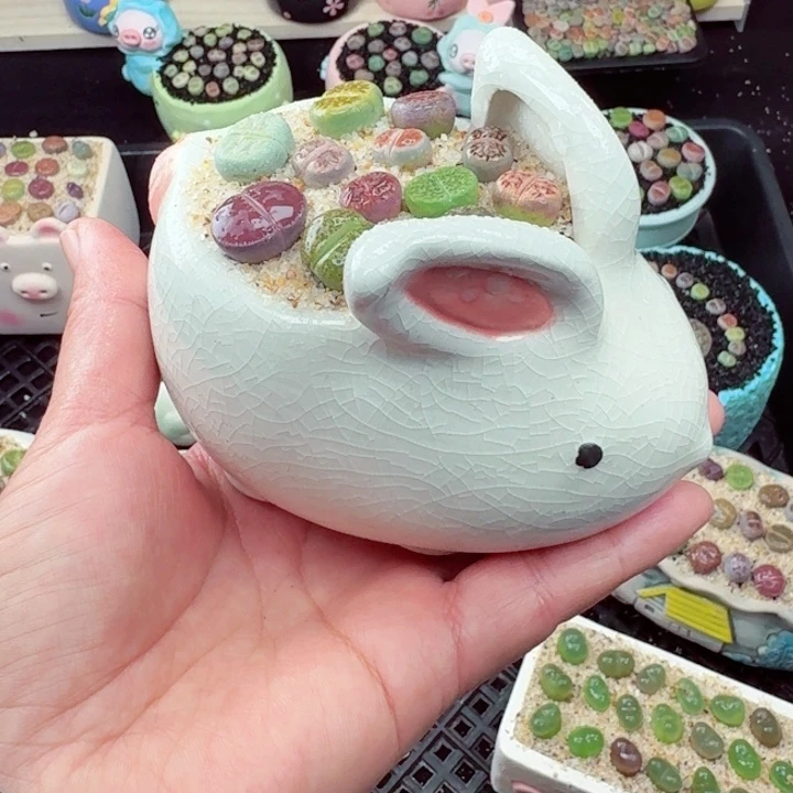 826零下地区记拍保温箱