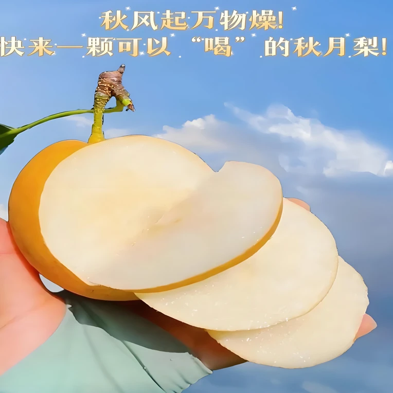 山东正宗头茬秋月梨礼盒装脆甜多汁新鲜应季水果