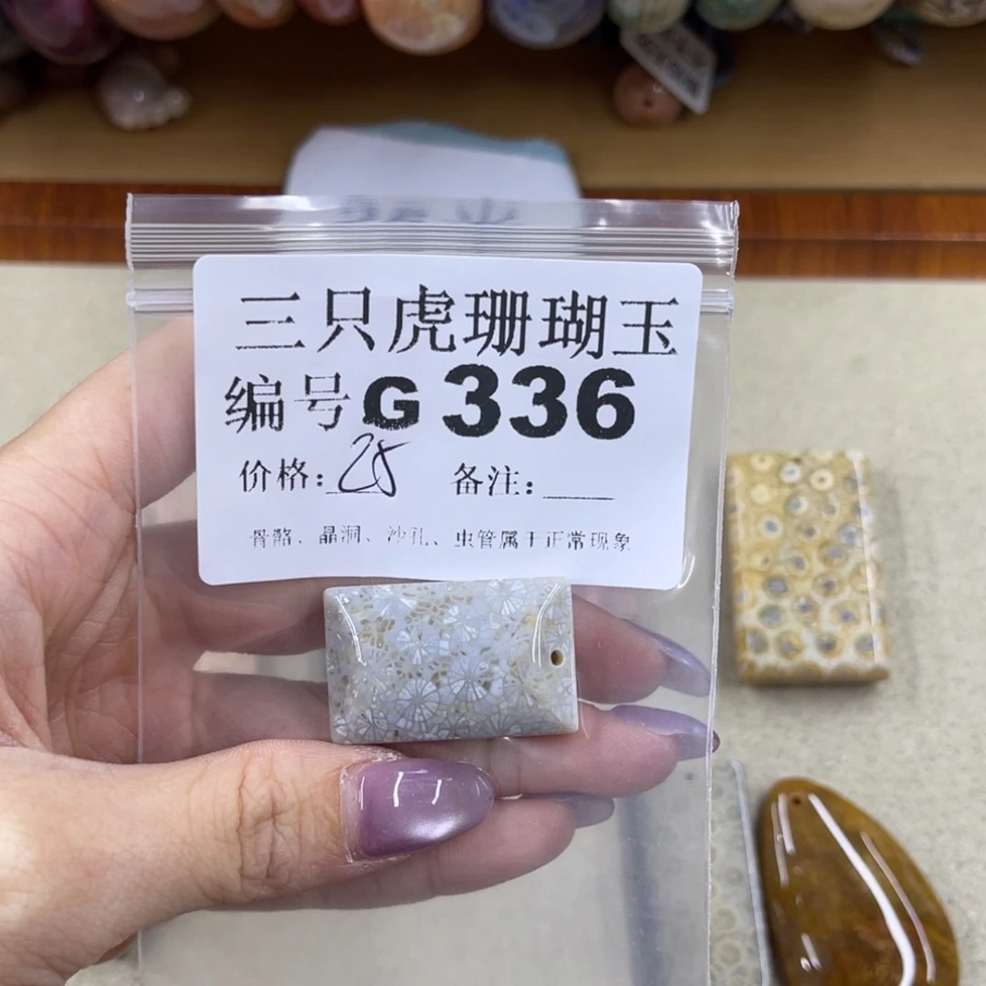 T***y未镶嵌h硅化珊瑚（珊瑚玉）