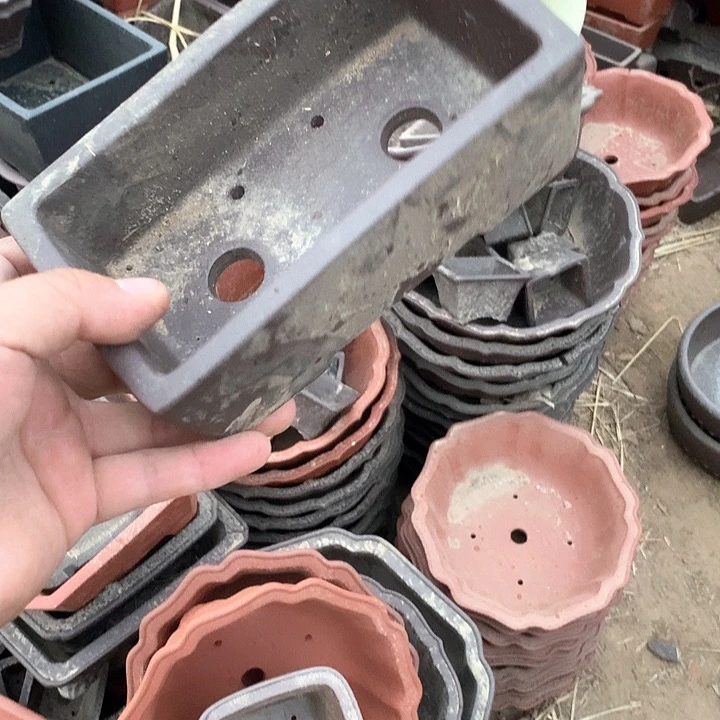 紫砂我要不明天要回家不