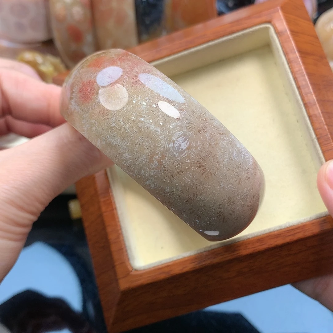 未镶嵌手镯硅化珊瑚（珊瑚玉）57.8口200