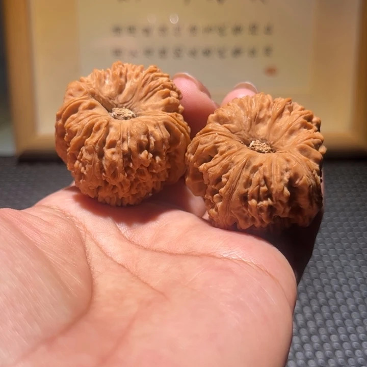 把件文玩核桃逐鹿壹代凹底南疆