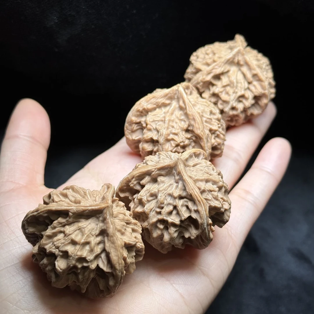 【曹掌柜精选】22 G38465-核桃（三棱）-多样性发其一-39-44mm-