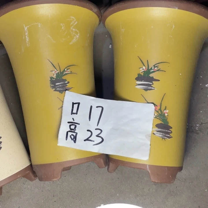 正式收治三生三世十