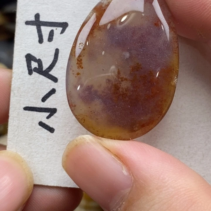 硅化珊瑚（珊瑚玉）未镶嵌颈饰
