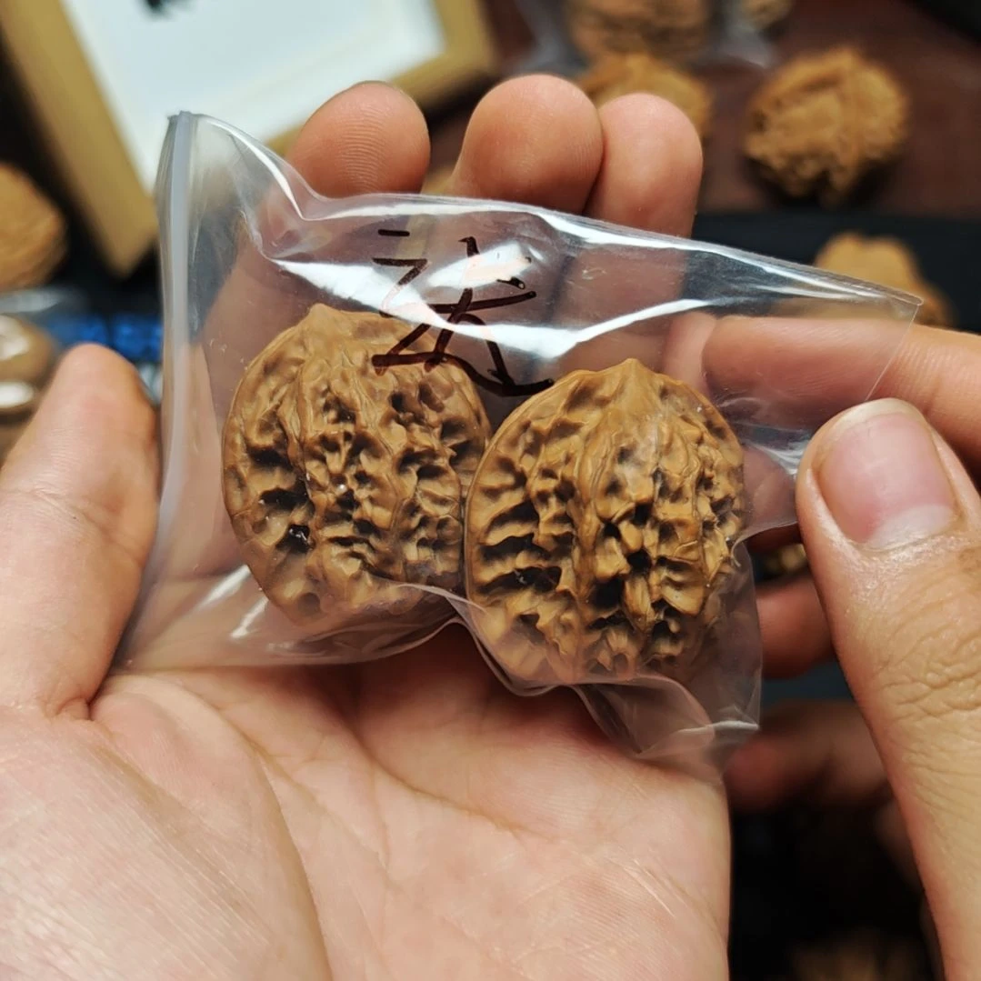 吃***我送送送送送送送送送