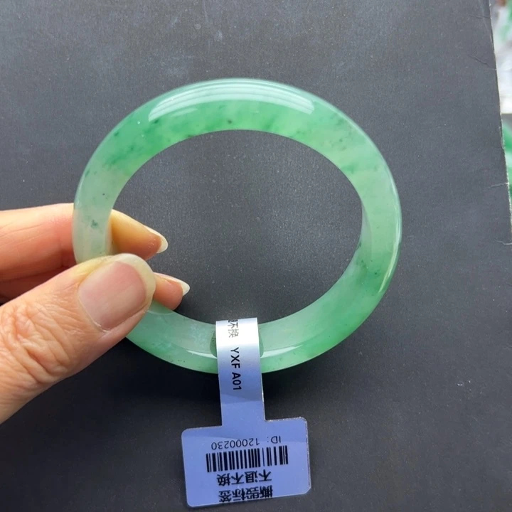 石英质玉未镶嵌手镯燕子➕56.7