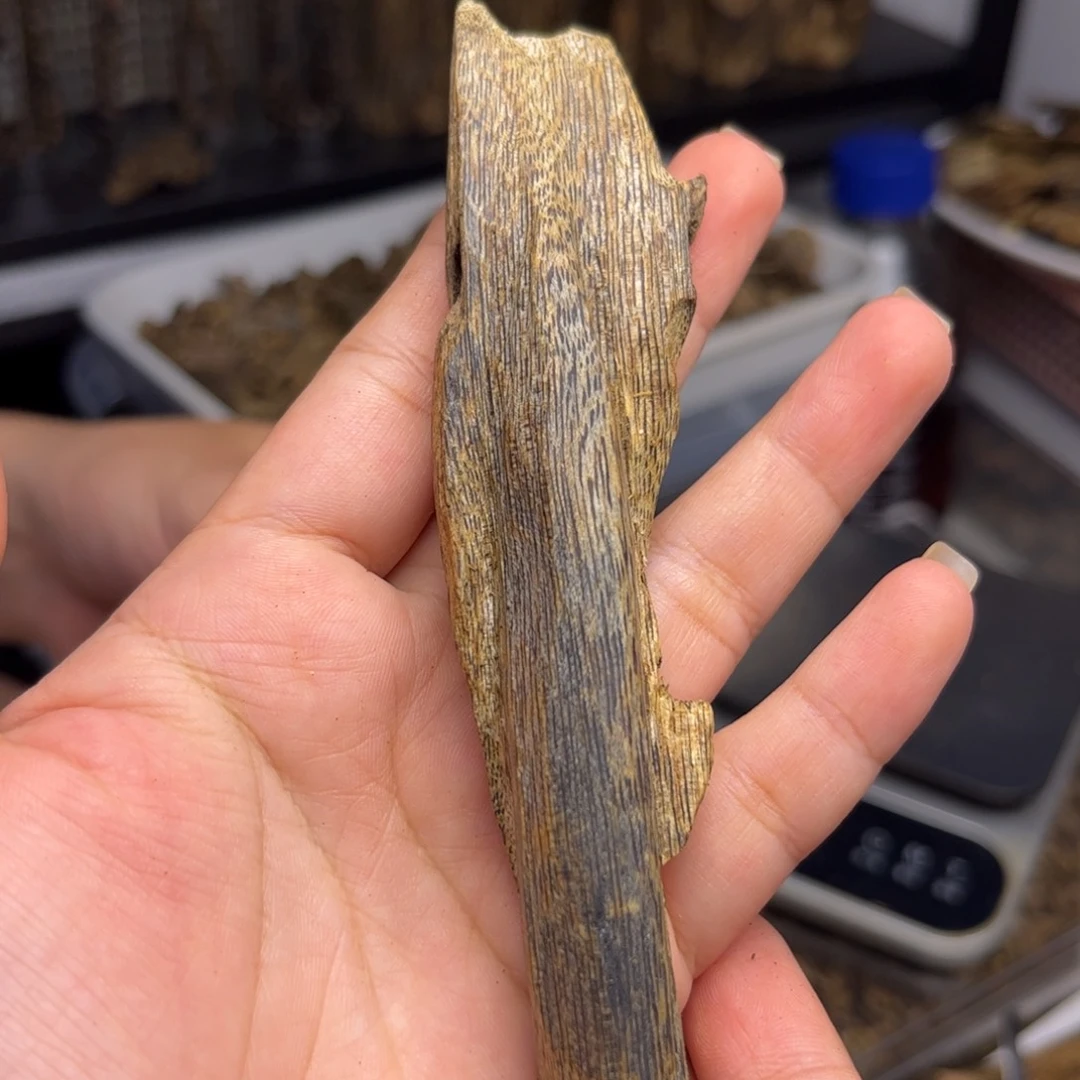 沉香沉香碎屑奇楠沉香熏香黑珍珠虫漏19克