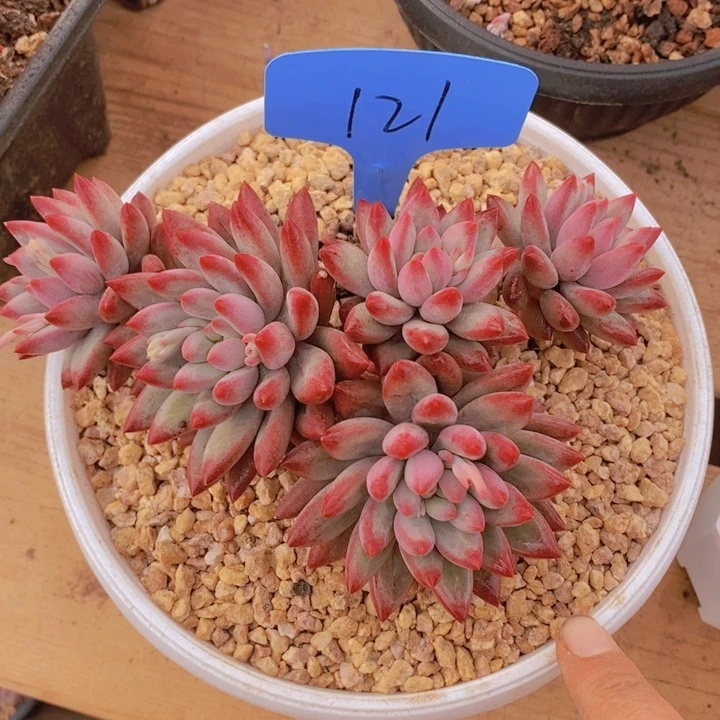 这么多事不给人家交代