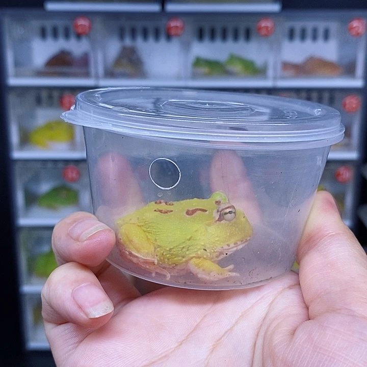 特价秒杀现货特价
