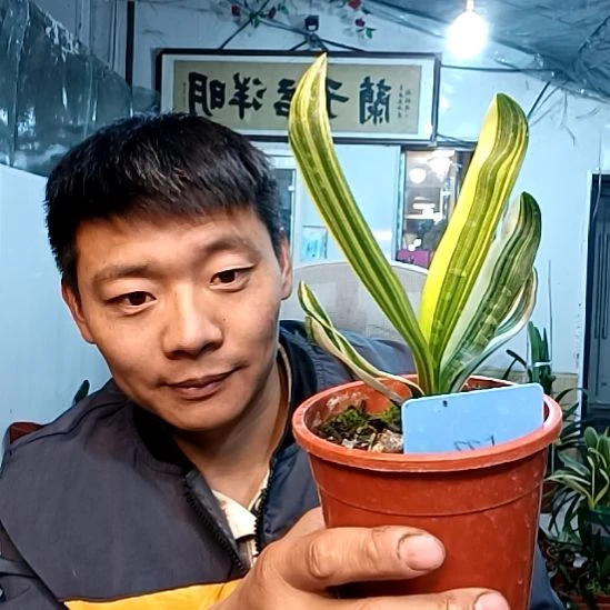 10月姐488一颗!彩斑