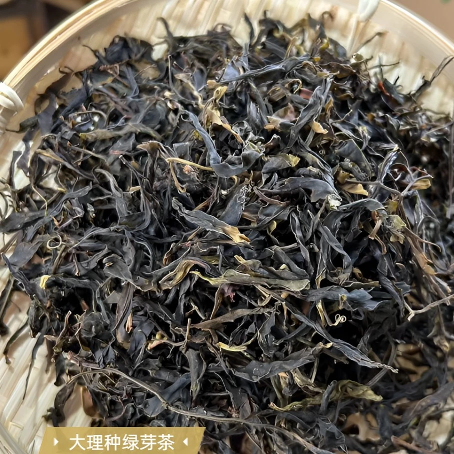 2024森林手工古树 野韵香甜鲜无苦涩 大理种绿芽晒青茶  散装